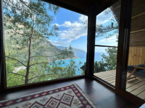 Kabak Ütopya Kamp